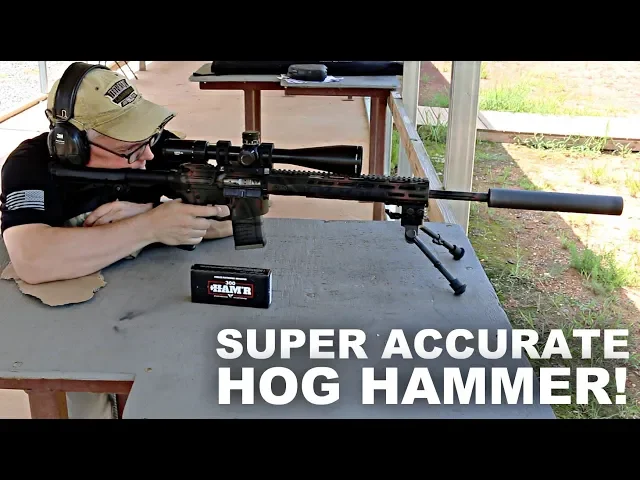 super accurate hog hammer!wilson combat 300 ham r
